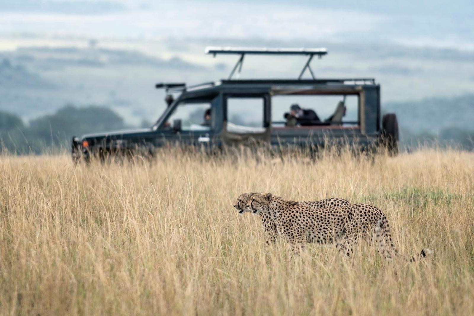 Talek Bush Camp , Masai Mara Hotel Exterior foto