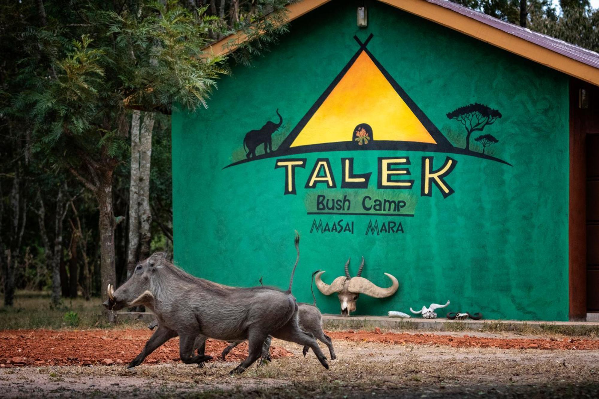 Talek Bush Camp , Masai Mara Hotel Exterior foto